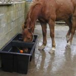 Sturdy Equestrian Drinking Trough 70gal