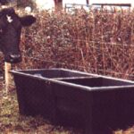 Sturdy Equestrian Drinking Trough 70gal